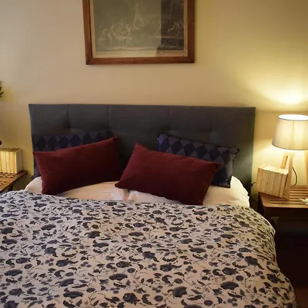 Al Carmine Towers View With Ac * Lucca